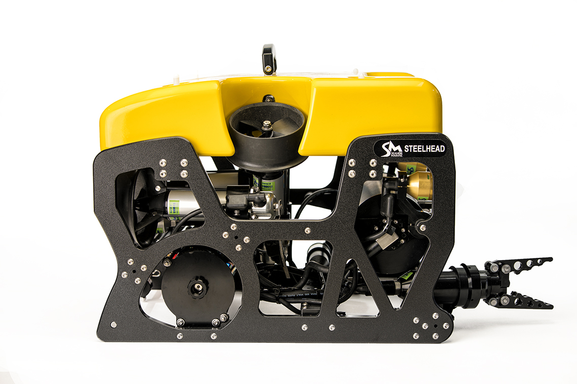 DUAL FUNCTION GRIPPER